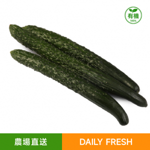 Refreshing tattoo cucumber