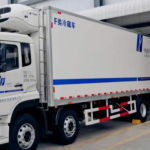 Cold Chain Logistics and Sustainable Supply Chain Management​